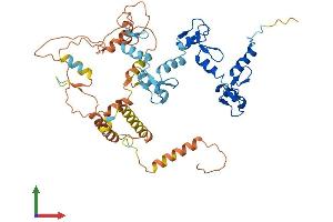 AlphaFold protein structure predicition of Human Recombinant ZNF561 Protein, UniprotID Q8N587