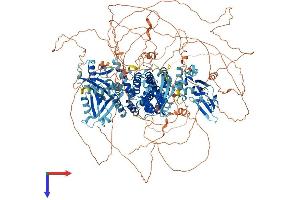AlphaFold protein structure predicition of Human Recombinant RAPGEF2 Protein, UniprotID Q9Y4G8