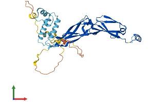 AlphaFold protein structure predicition of Mouse Recombinant Dnajb5 Protein, UniprotID O89114