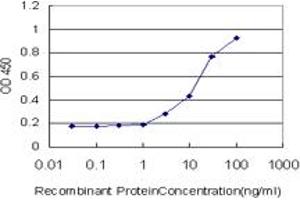 Detection limit for recombinant GST tagged CCT6B is approximately 0.