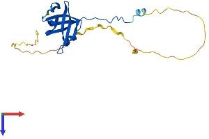 AlphaFold protein structure predicition of Human Recombinant NABP2 Protein, UniprotID Q9BQ15