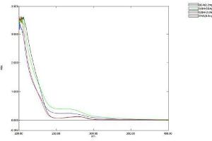 Glutathione protein (Ovalbumin)