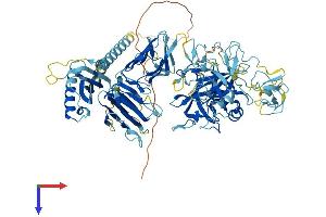 AlphaFold protein structure predicition of Human Recombinant ST14 Protein, UniprotID Q9Y5Y6