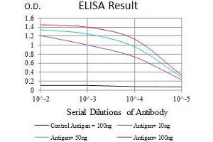 Black line: Control Antigen (100 ng), Purple line: Antigen(10 ng), Blue line: Antigen (50 ng), Red line: Antigen (100 ng), (EGFR Mutant (AA 693-893), (Mutant) anticorps)