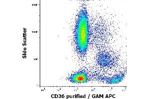 Flow cytometry surface staining pattern of human peripheral whole blood stained using anti-human CD36 (TR9) purified antibody (concentration in sample 1 μg/mL, GAM APC). (CD36 anticorps)