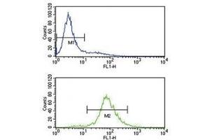 BCL6 antibody flow cytometry analysis of Jurkat cells (bottom histogram) compared to a negative control (top histogram).