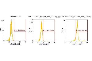 Flow Cytometry (FACS) image for anti-Lactate Dehydrogenase B (LDHB) (AA 1-334) antibody (PE) (ABIN5565786)