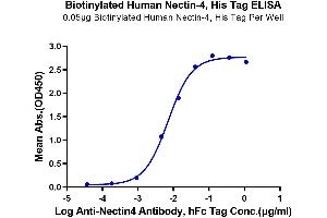 Immobilized Biotinylated Human Nectin-4, His Tag at 0.