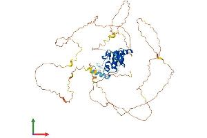 AlphaFold protein structure predicition of Mouse Recombinant Agfg1 Protein, UniprotID Q8K2K6