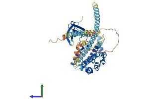 AlphaFold protein structure predicition of Human Recombinant NEK2 Protein, UniprotID P51955