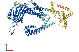 AlphaFold protein structure predicition of Mouse Recombinant Pkd2l2 Protein, UniprotID Q9JLG4
