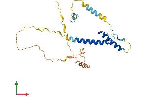 AlphaFold protein structure predicition of Human Recombinant HAND2 Protein, UniprotID P61296
