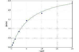 Gap Junction Protein, beta 1, 32kDa (GJB1) ELISA Kit