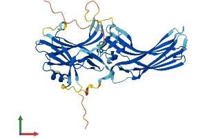 AlphaFold protein structure predicition of Mouse Recombinant Sag Protein, UniprotID P20443