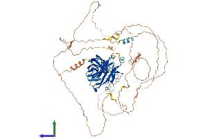 AlphaFold protein structure predicition of Mouse Recombinant Nfatc1 Protein, UniprotID O88942