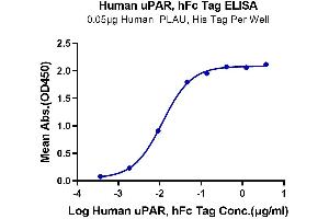 Immobilized Human PLAU, His Tag at 0.