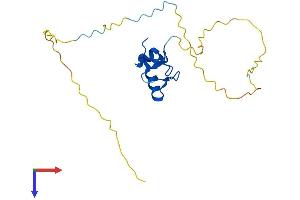 AlphaFold protein structure predicition of Human Recombinant RNF4 Protein, UniprotID P78317