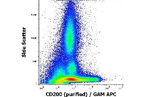 Flow cytometry surface staining pattern of human peripheral blood stained using anti-human CD200 (OX-104) purified antibody (concentration in sample 4 μg/mL) GAM APC. (CD200 anticorps)