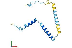 AlphaFold protein structure predicition of Human Recombinant FAM32A Protein, UniprotID Q9Y421