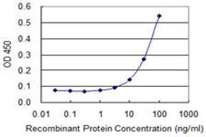 Detection limit for recombinant GST tagged BLVRA is 3 ng/ml as a capture antibody.