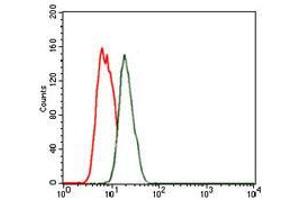 Flow cytometric analysis of MCF-7 cells using NKX2.