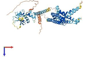 AlphaFold protein structure predicition of Human Recombinant KCNG4 Protein, UniprotID Q8TDN1
