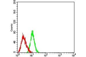 Flow cytometric analysis of HL-60 cells using CD170 mouse mAb (green) and negative control (red).