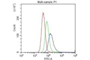 Flow Cytometry analysis of U937 cells using anti-CD31 antibody .