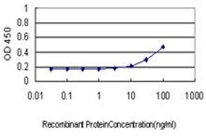 Detection limit for recombinant GST tagged CD96 is approximately 3ng/ml as a capture antibody. (CD96 anticorps  (AA 1-402))