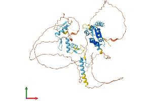 AlphaFold protein structure predicition of Human Recombinant ZBTB44 Protein, UniprotID Q8NCP5