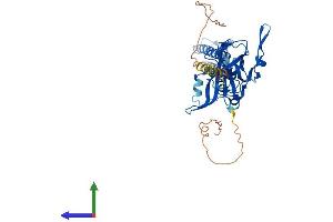 AlphaFold protein structure predicition of Mouse Recombinant Kcnj12 Protein, UniprotID P52187