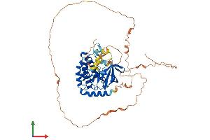 AlphaFold protein structure predicition of Mouse Recombinant Ripk3 Protein, UniprotID Q9QZL0