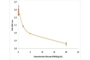 Activity Assay (AcA) image for Interferon, alpha 2 (IFNA2) (Active) protein (ABIN5509397)