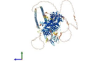 AlphaFold protein structure predicition of Mouse Recombinant Plekhh1 Protein, UniprotID Q80TI1
