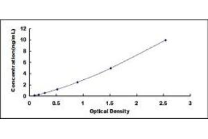 Typical standard curve (PES1 Kit ELISA)