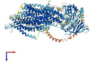 AlphaFold protein structure predicition of Human Recombinant ABCC9 Protein, UniprotID O60706