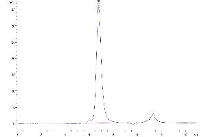 The purity of Biotinylated Human FGFR4 is greater than 95 % as determined by SEC-HPLC.