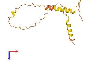 AlphaFold protein structure predicition of Human Recombinant BLID Protein, UniprotID Q8IZY5