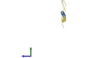 AlphaFold protein structure predicition of Mouse Recombinant Lst1 Protein, UniprotID O08843