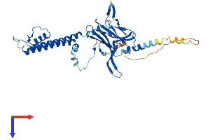 AlphaFold protein structure predicition of Mouse Recombinant Kcnj9 Protein, UniprotID P48543
