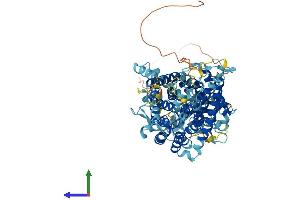 AlphaFold protein structure predicition of Mouse Recombinant Clcn3 Protein, UniprotID P51791