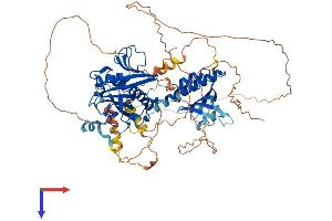 AlphaFold protein structure predicition of Human Recombinant RAP1GAP2 Protein, UniprotID Q684P5