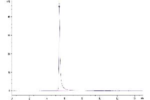 The purity of Rhesus macaque ITGAV&ITGB6 is greater than 95 % as determined by SEC-HPLC.