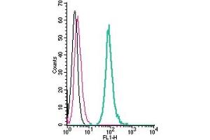 Cell surface detection of 5HT7 Receptor by direct flow cytometry in live intact mouse J774 macrophage cells: + Rabbit IgG isotype control-FITC.