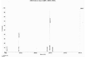 Image no. 1 for Motilin (MLN) protein (Ovalbumin) (ABIN1880260) (Motilin Protein (MLN) (Ovalbumin))