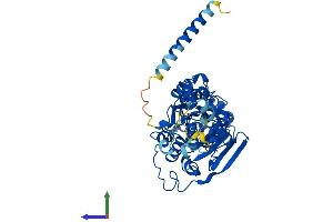 AlphaFold protein structure predicition of Mouse Recombinant Mocs3 Protein, UniprotID A2BDX3