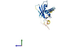 AlphaFold protein structure predicition of Human Recombinant DDIT4L Protein, UniprotID Q96D03