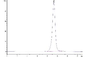 The purity of Cynomolgus FOLR2 is greater than 95 % as determined by SEC-HPLC.