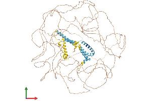 AlphaFold protein structure predicition of Human Recombinant RTN4 Protein, UniprotID Q9NQC3