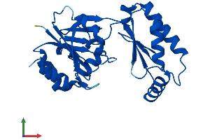 AlphaFold protein structure predicition of Mouse Recombinant Pmm2 Protein, UniprotID Q9Z2M7
